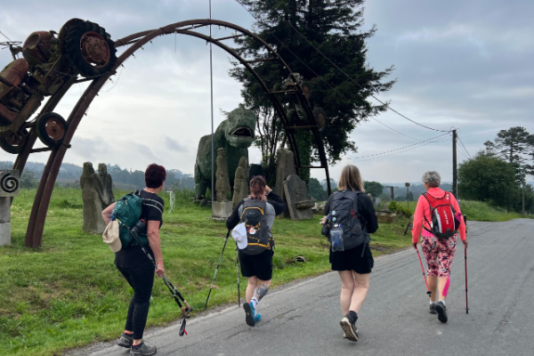 ramdom things you see on the Camino Ingles